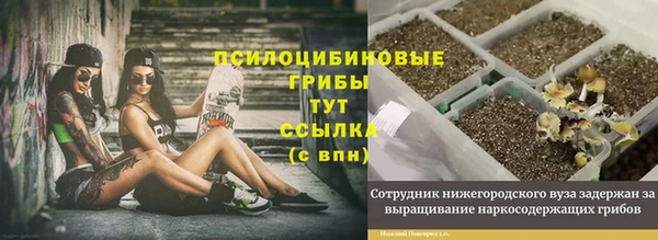 марки lsd Балахна