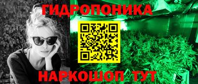 прущие крисы Бузулук