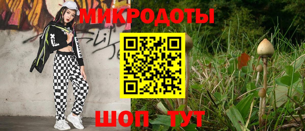 Псилоцибиновые грибы прущие грибы Гатчина