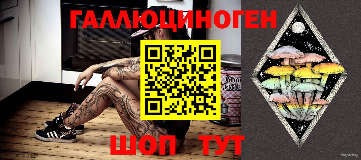 Гатчина  Псилоцибиновые грибы ЛСД  Псилоцибиновые грибы MAGIC MUSHROOMS  Вход с VPN 